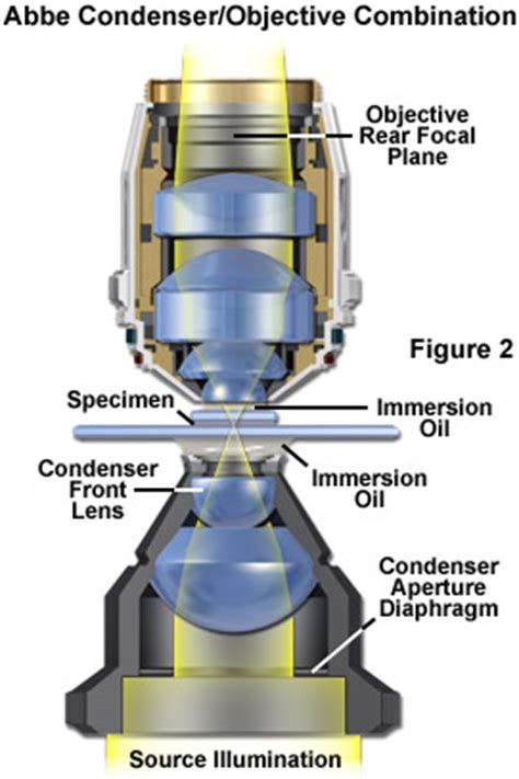 objective on a microscope|ZEISS Microscopy Online Campus .